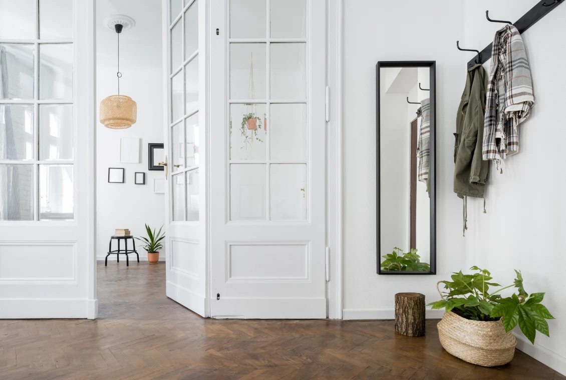 Minimalist entryway with mirror and plants